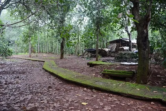 Không gian cảnh quan tại Địa đạo Kim Long