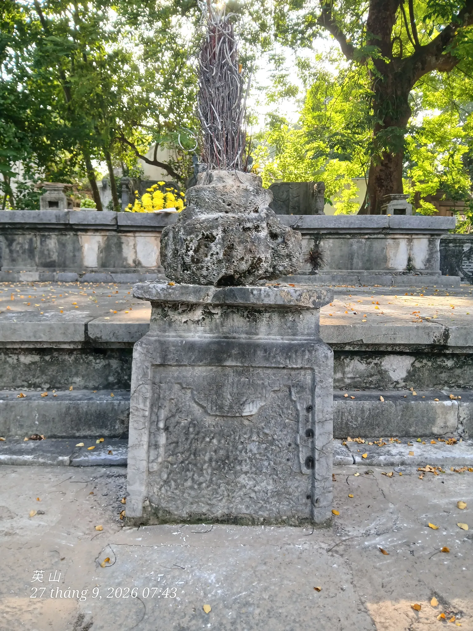 Cây hương ở sân quán đá Long Tiên