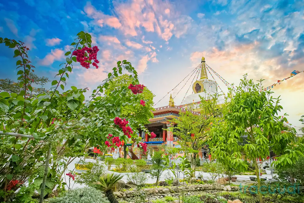 Cảnh quan di tích Chùa Long Quang