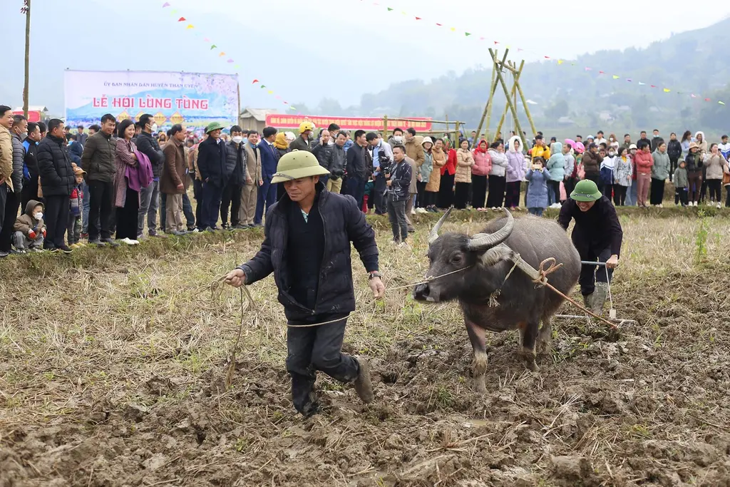 Nghi thức cày bừa tại Lễ hội Lùng Tùng