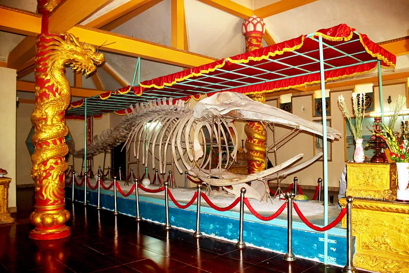 Nghi lễ cúng cá Ông được thực hiện chỉn chu và nghiêm trang tại Dinh Vạn Thủy Tú