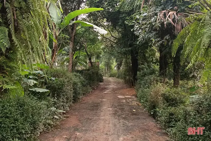Đường vào Mộ và nhà thờ Lê Hầu Tạo