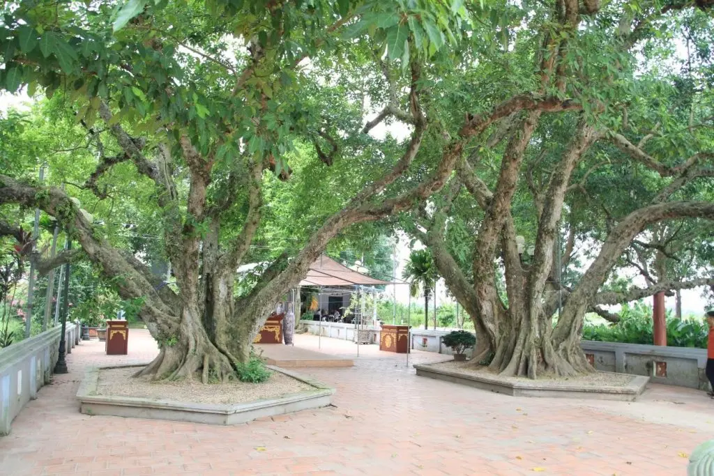 Không gian cảnh quan di tích Lăng Chử Cù Vân