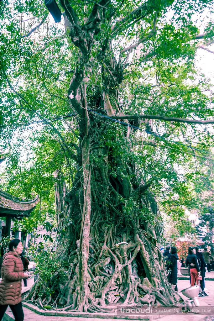 Không gian cảnh quan di tích Đền Mẫu