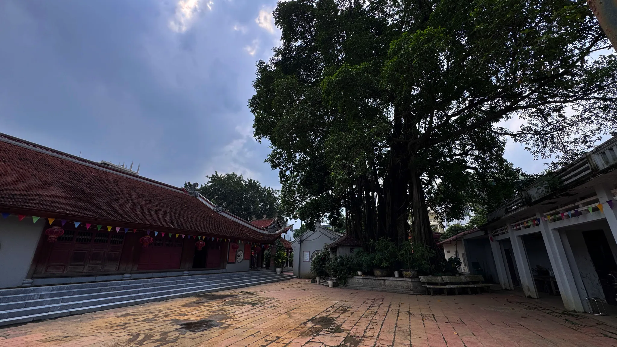 Cây đa cổ thụ trong khuôn viên đình Kiều Mai
