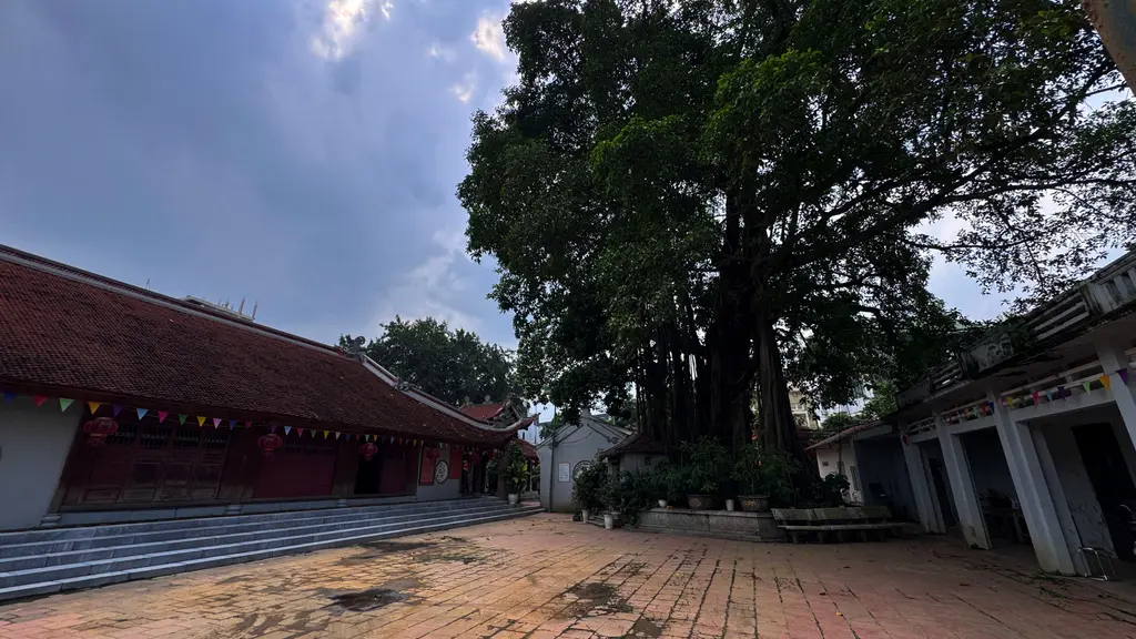 Cây đa cổ thụ trong khuôn viên đình Kiều Mai