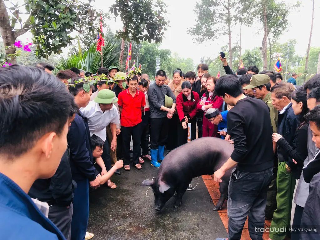 Lễ Tuyển sinh Ông Lợn Đen trong lễ hội đình Gia Áo