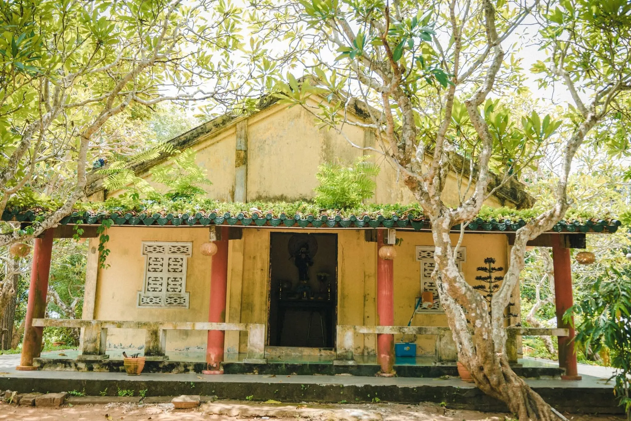 Không gian bình yên tại Chùa Giác Linh (Chùa Dơi)