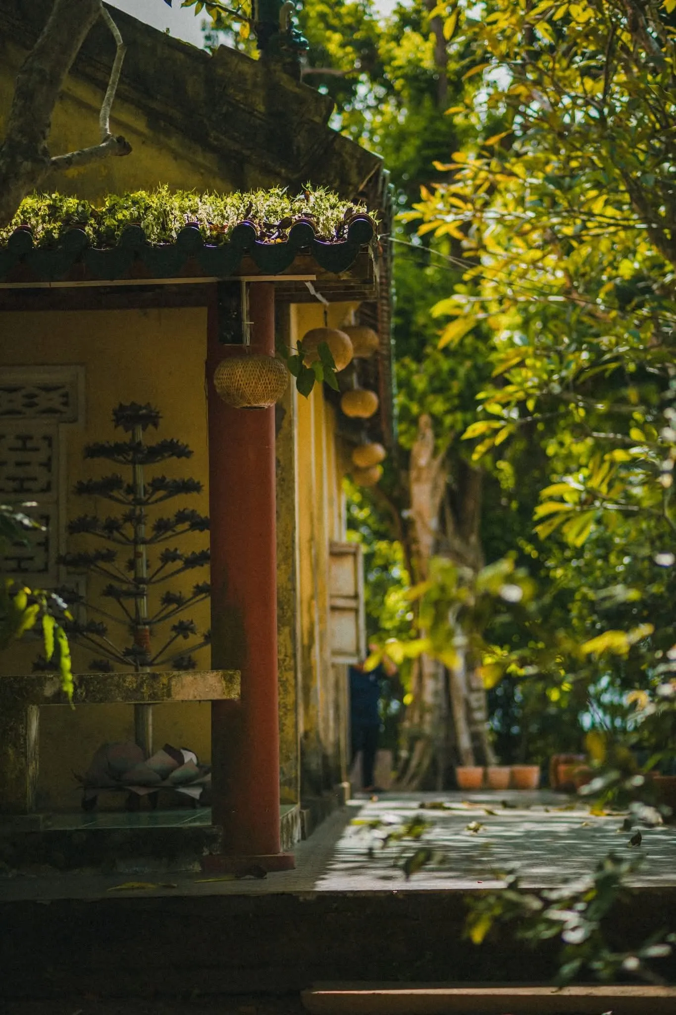 Không gian bình yên tại Chùa Giác Linh (Chùa Dơi)