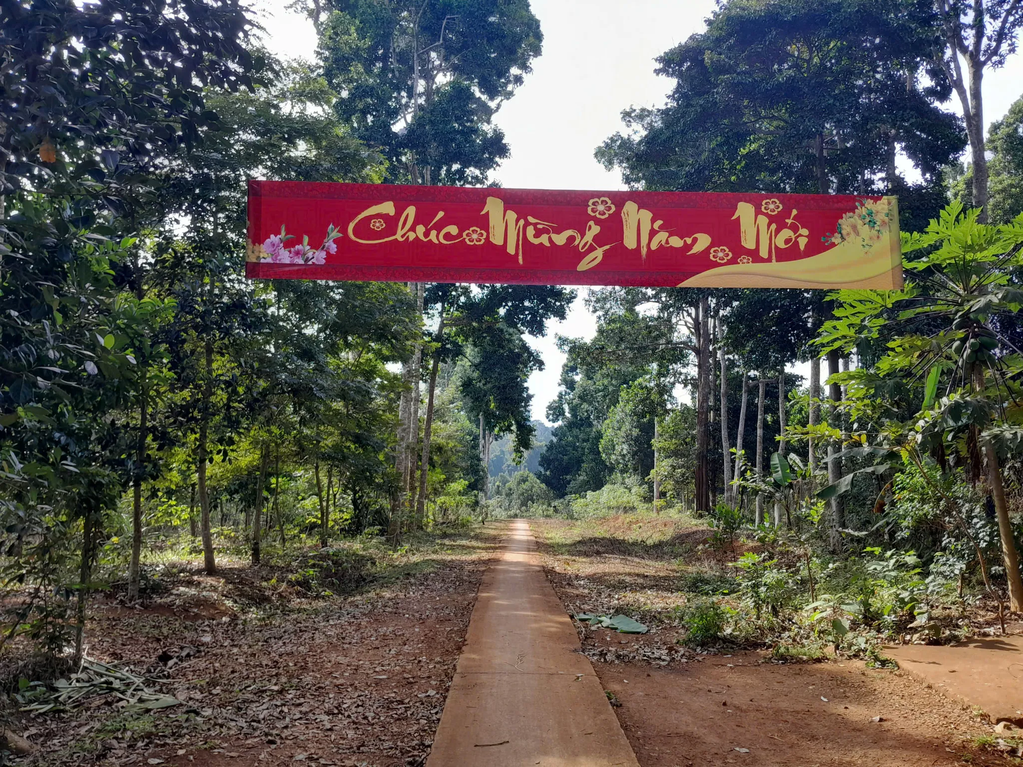 Lối vào Di tích vườn mít