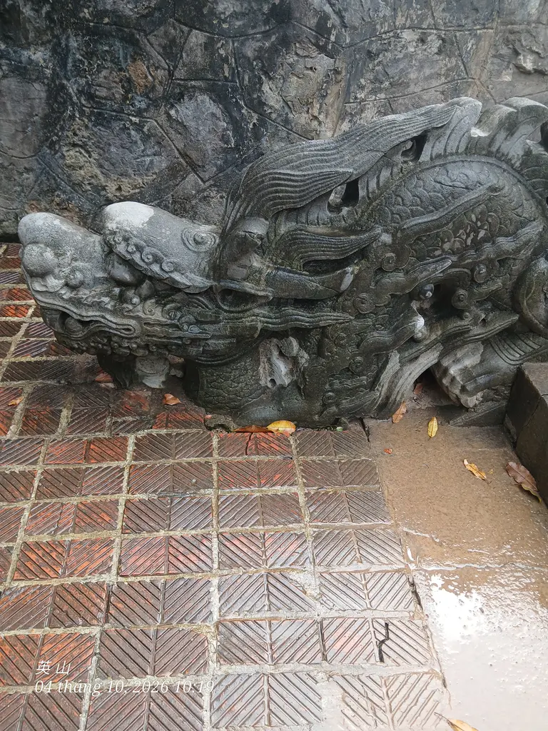 Hình ảnh đầu rồng