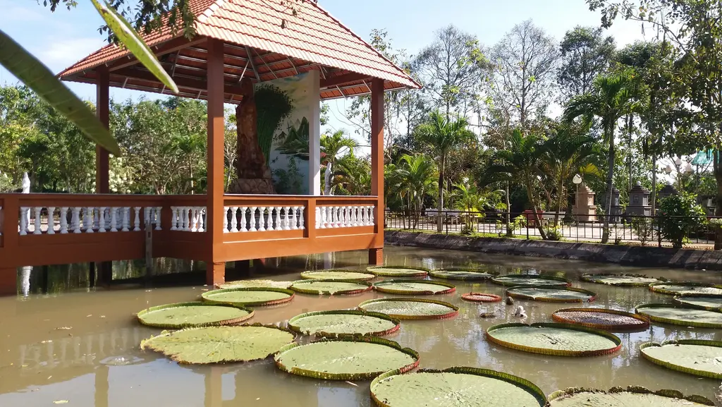 Không gian cảnh quan tại Chùa Long Quang