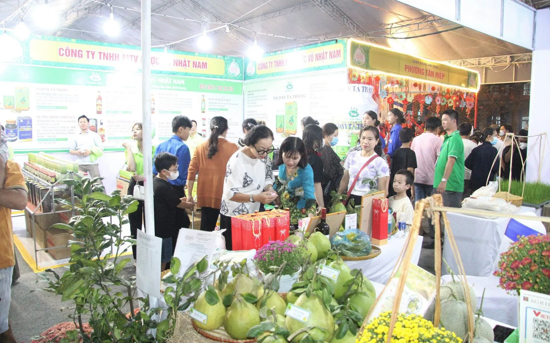 Bưởi Bạch Đằng được trưngg bày tại Lễ hội “Hương Bưởi Bạch Đằng”