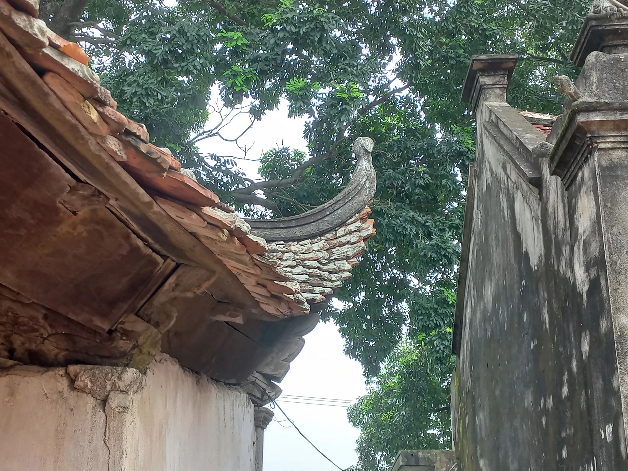 Mai đao bên trai đình Đình Phương Bản