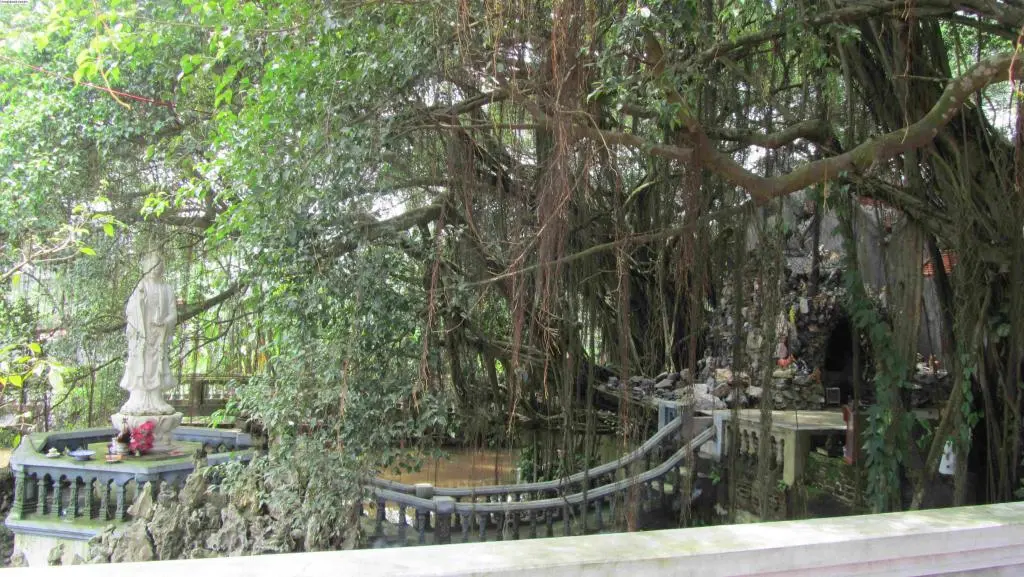 Quang cảnh xung quang Đền Cót