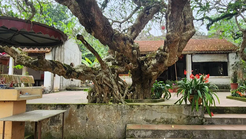 Không gian cảnh quan di tích Đình Vô Khuy