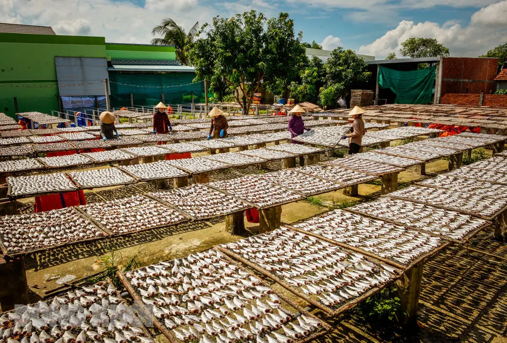Sân phơi cá khô An Thủy