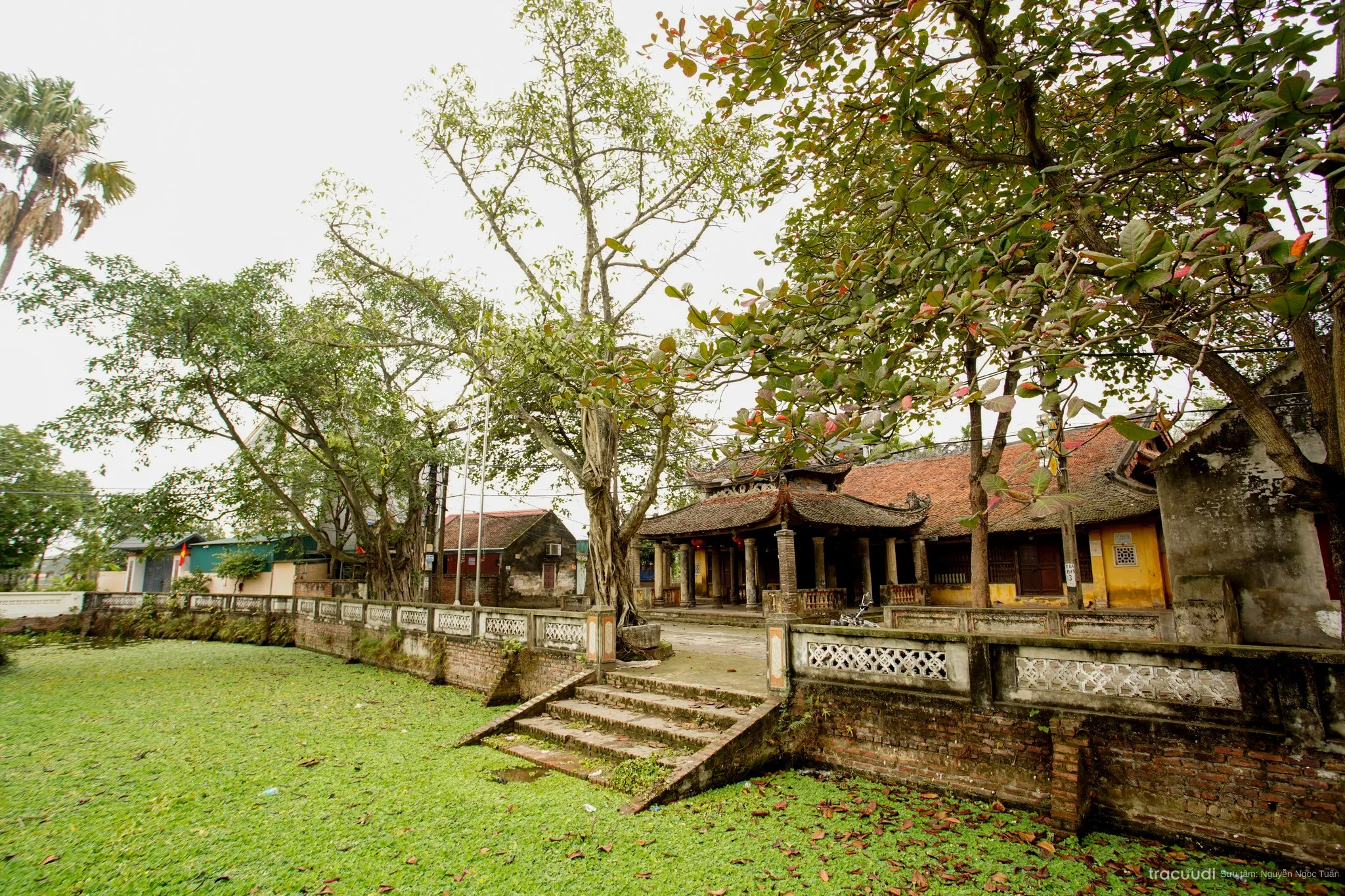 Không gian cảnh quan di tích Đình Mai Hiên