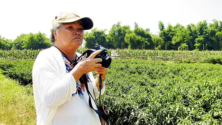 Nghệ nhân Tôn Nữ Thị Hà trên vùng ớt Duy Xuyên, Quảng Nam.