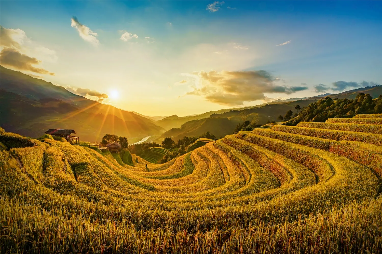 Hình ảnh Ruộng Bậc Thang Mù Cang Chải