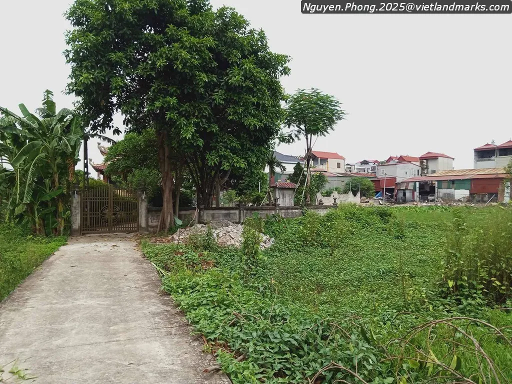 Lối dẫn vào Lăng mộ Tiến sỹ Nguyễn Bá Ký