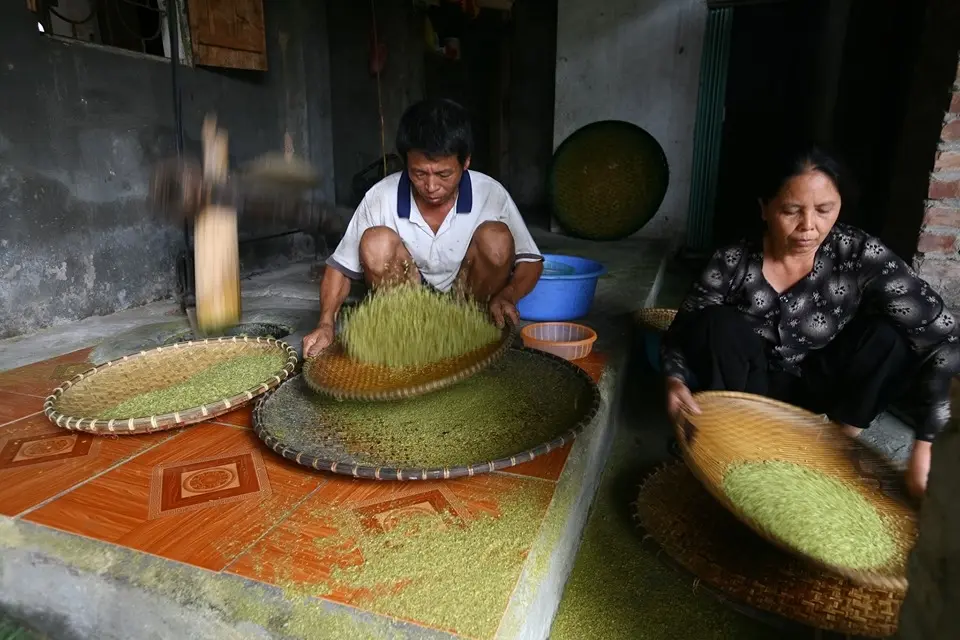 Sàng, sẩy loại bỏ mạt trấu và phân loại cốm.