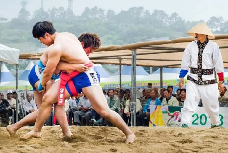 Hai đô vật trong trận chiến tại Lễ hội Vật Võ Liễu Đôi