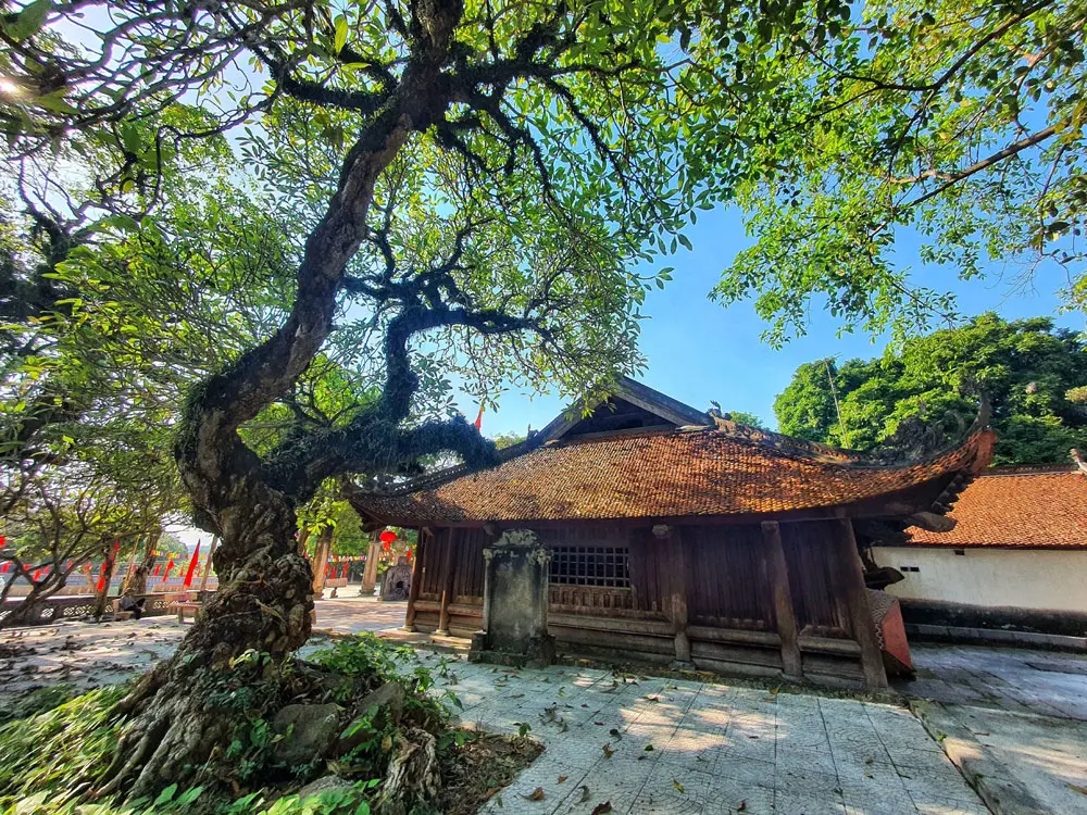 Hình ảnh nhà ông Nguyễn Văn Chế (atk2)