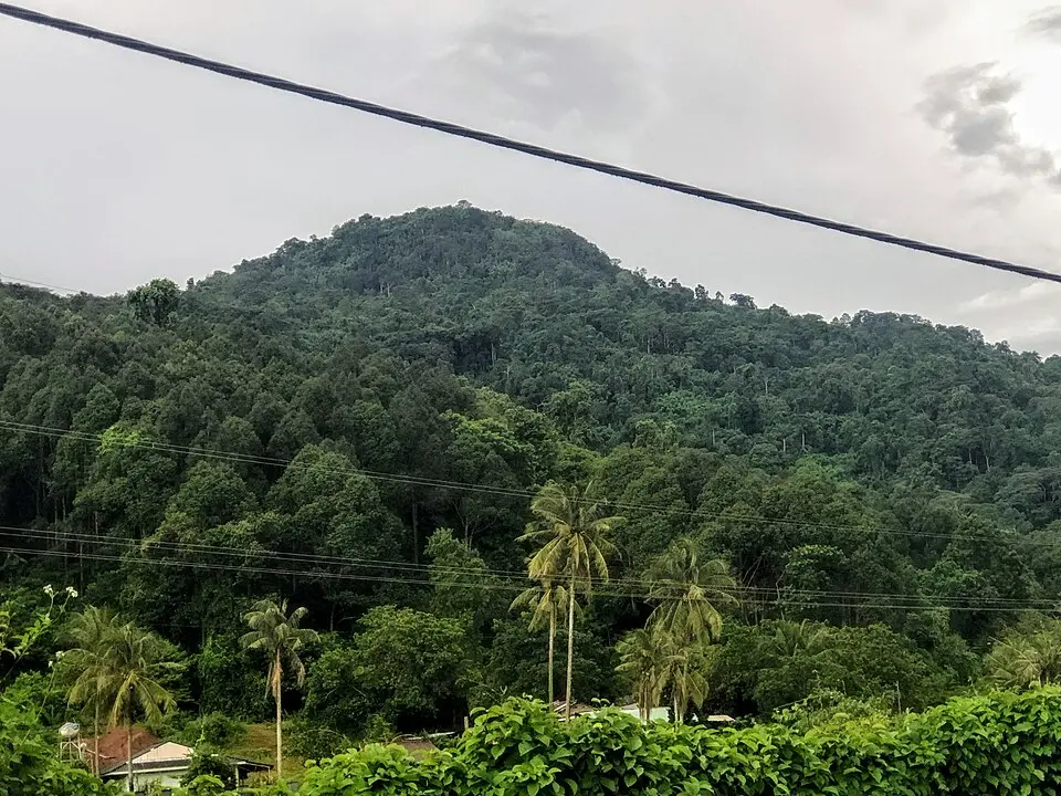 Cảnh quan Núi Bà Rá