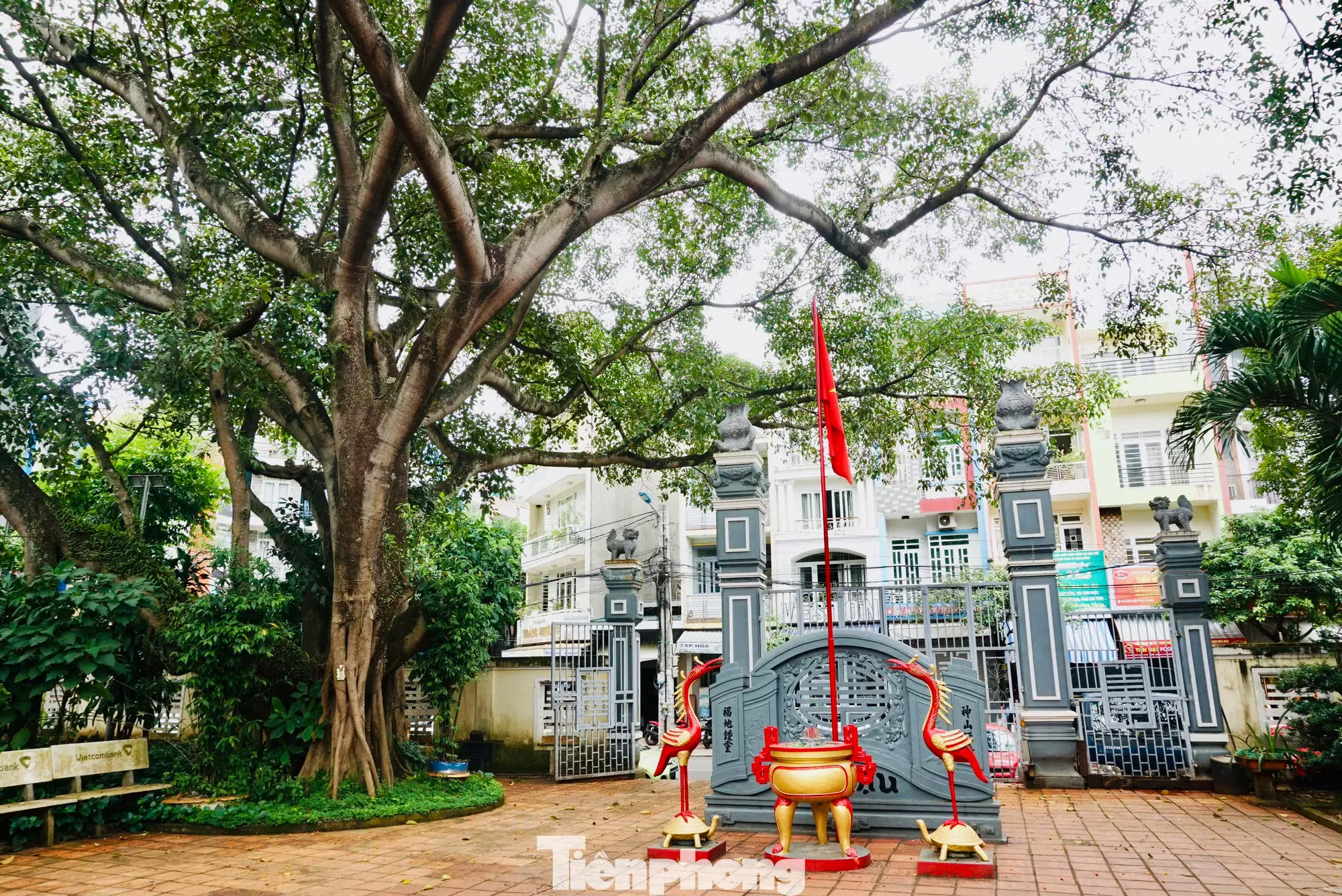 Khuôn viên Đình Lạc Giao