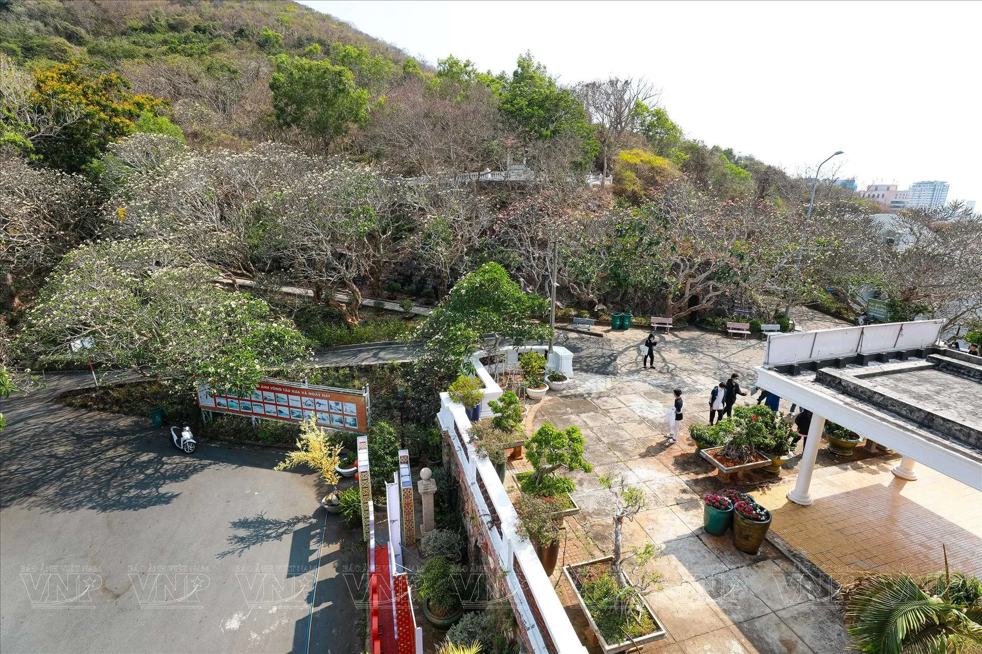 Khuôn viên Bạch Dinh