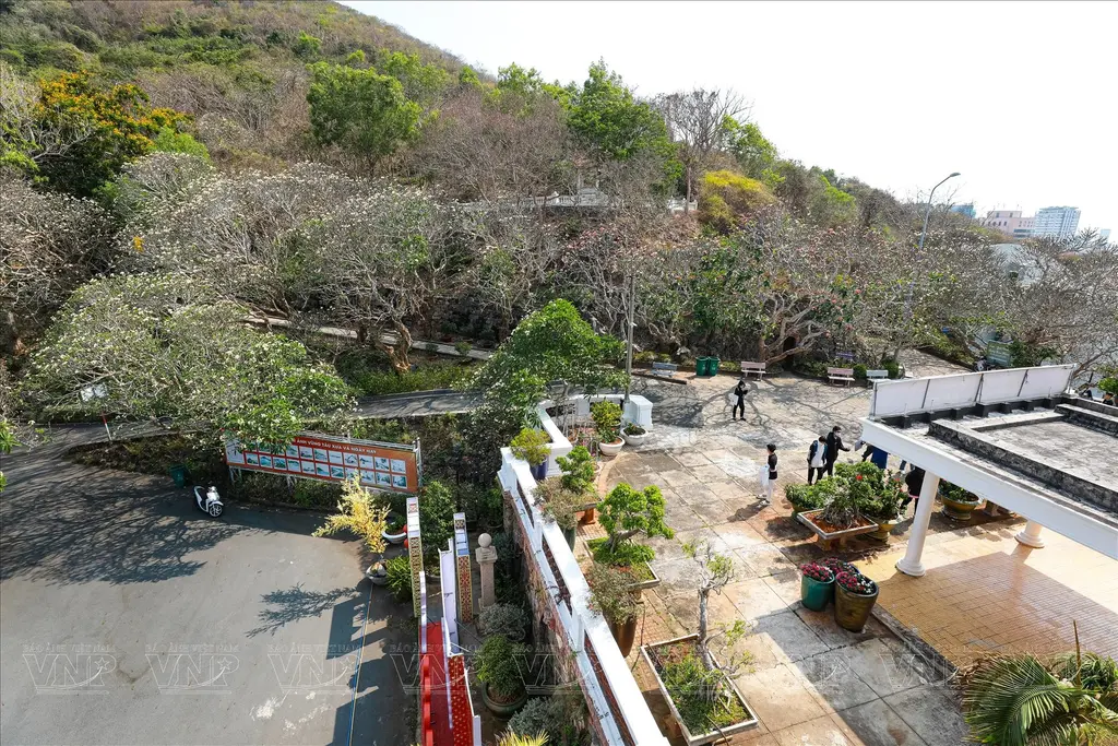Khuôn viên Bạch Dinh