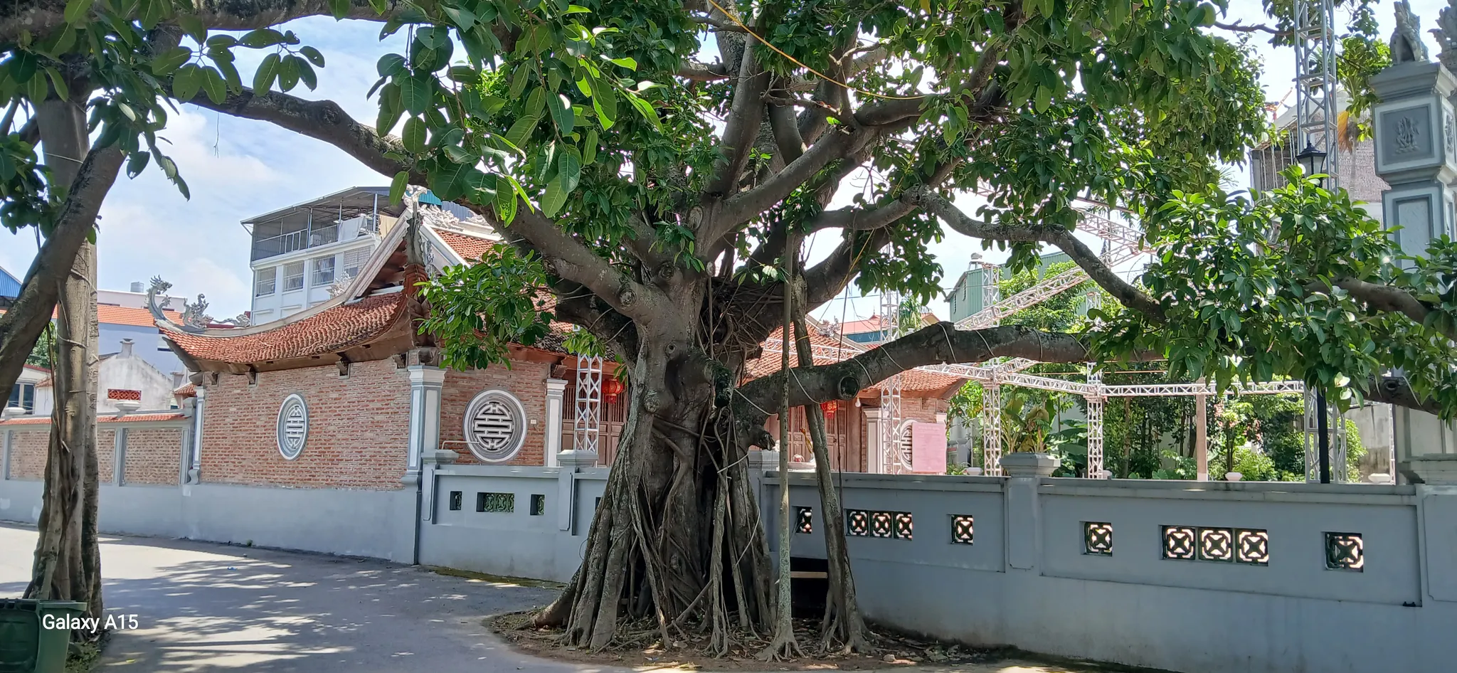 Cây đa bên đình làng An Thắng