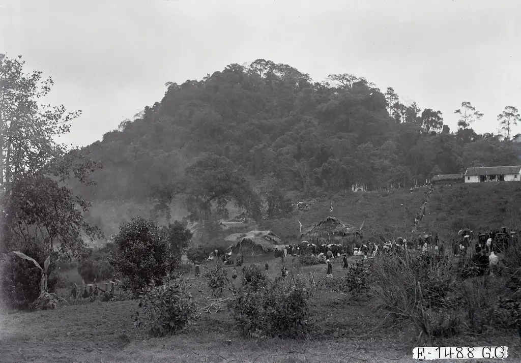 Lễ hội đền Hùng thập niên 1920