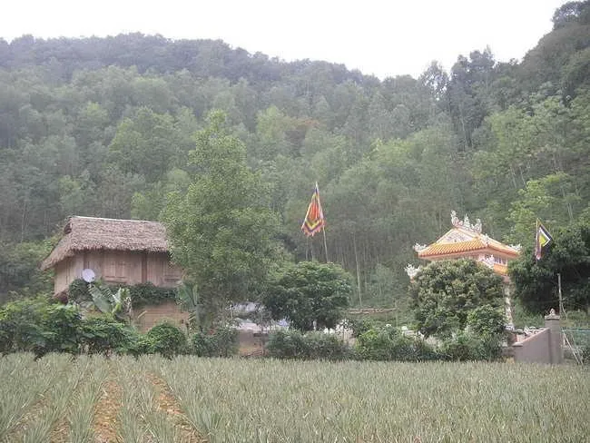 Khu lăng miếu Triệu Trường chụp từ xa