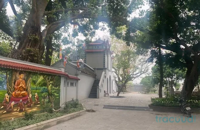 Cảnh quan Chùa Quang Ân