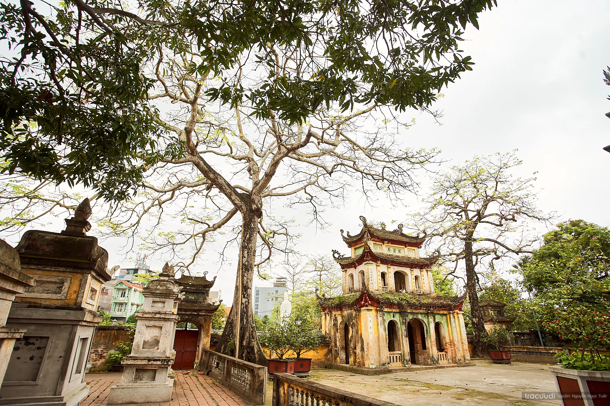 Không gian cảnh quan di tích Chùa Trung Hành