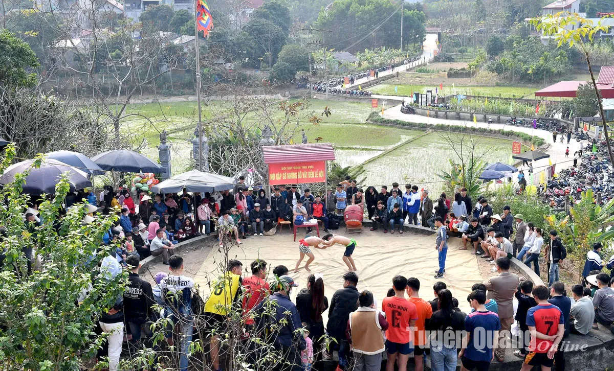 Đấu vật tại Lễ hội đình Thọ Vực