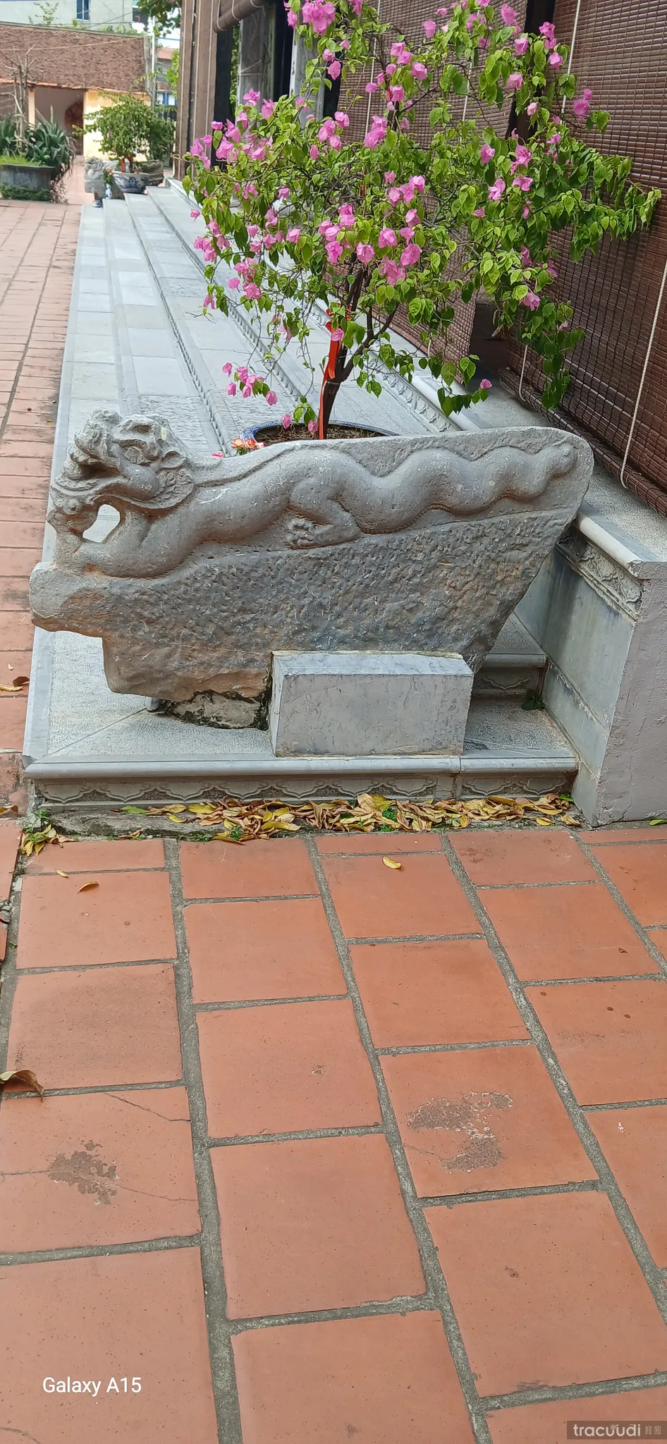 Rồng đá ở chùa Quảng Bị