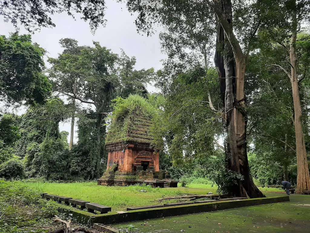 Tháp Chăm Yang Prong phủ kín rêu và cỏ cây