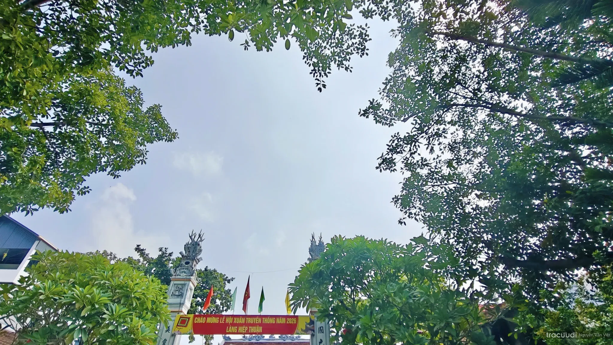Tán cây xung quanh trước nghi môn