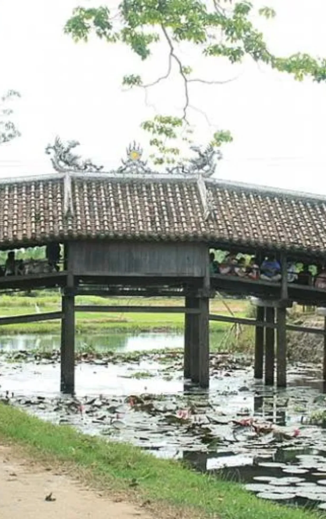 Cầu ngói Thanh Toàn