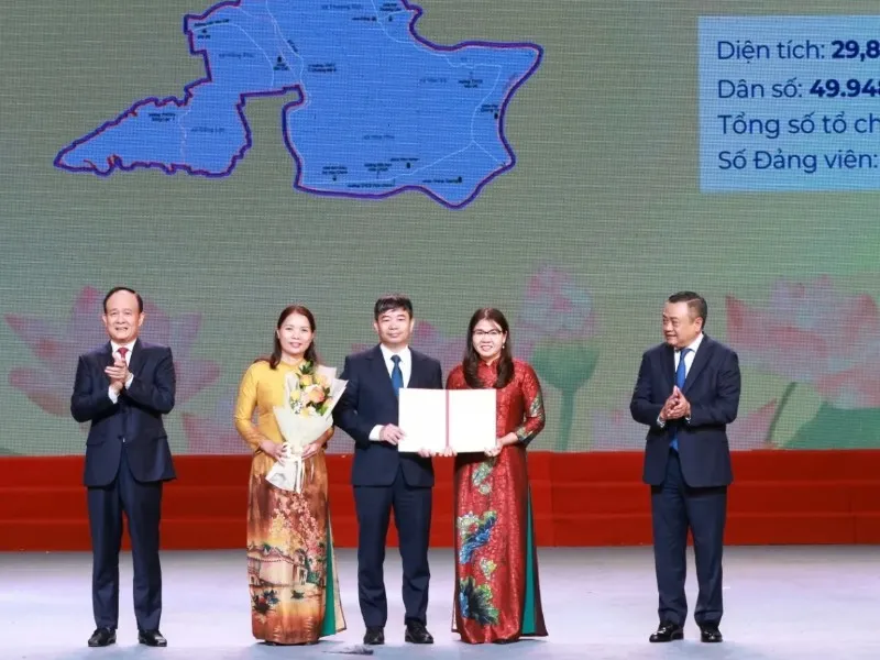Tổng quan