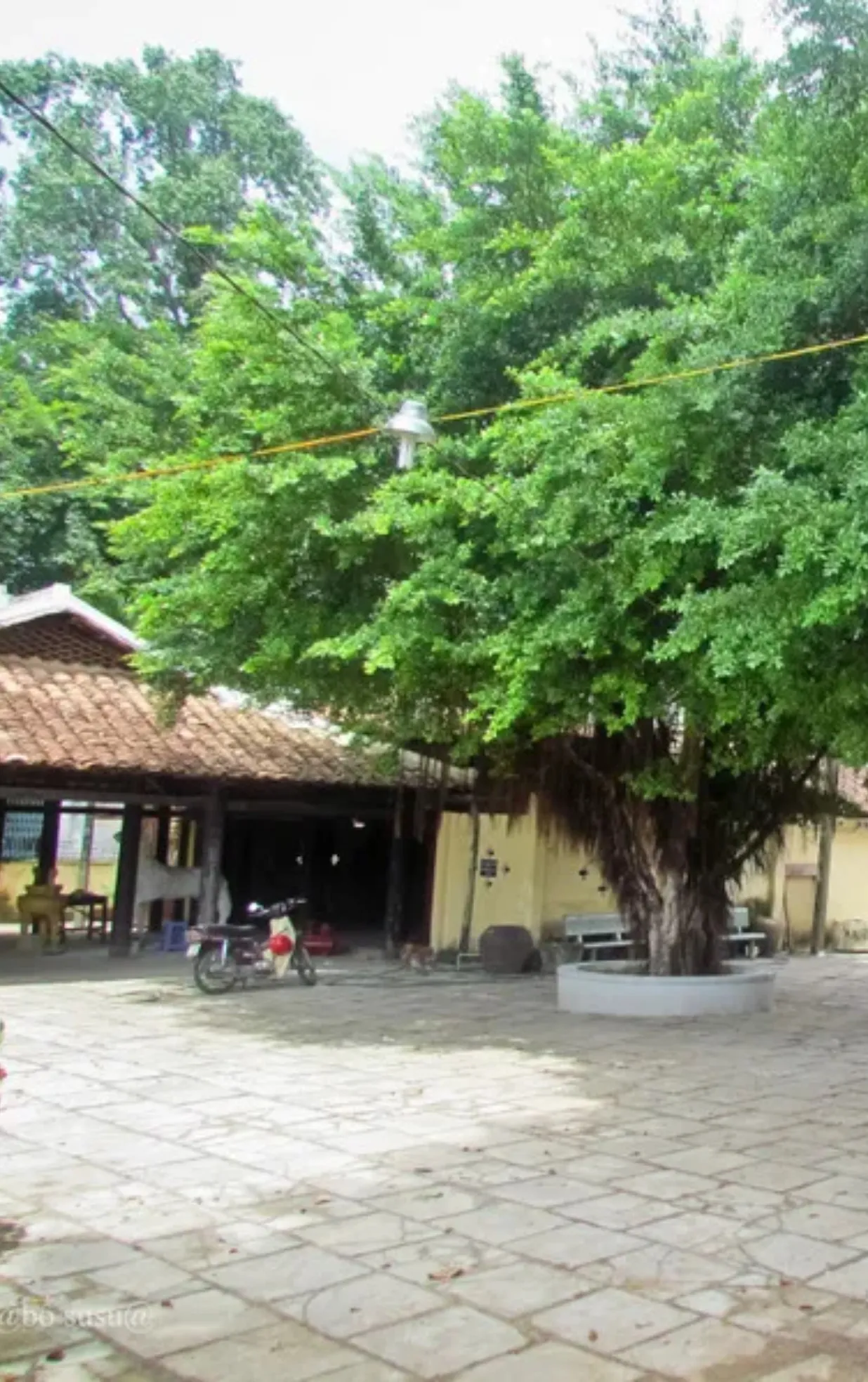 Đình Thông Tây Hội