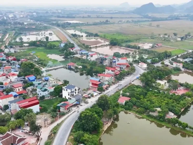 Tổng quan