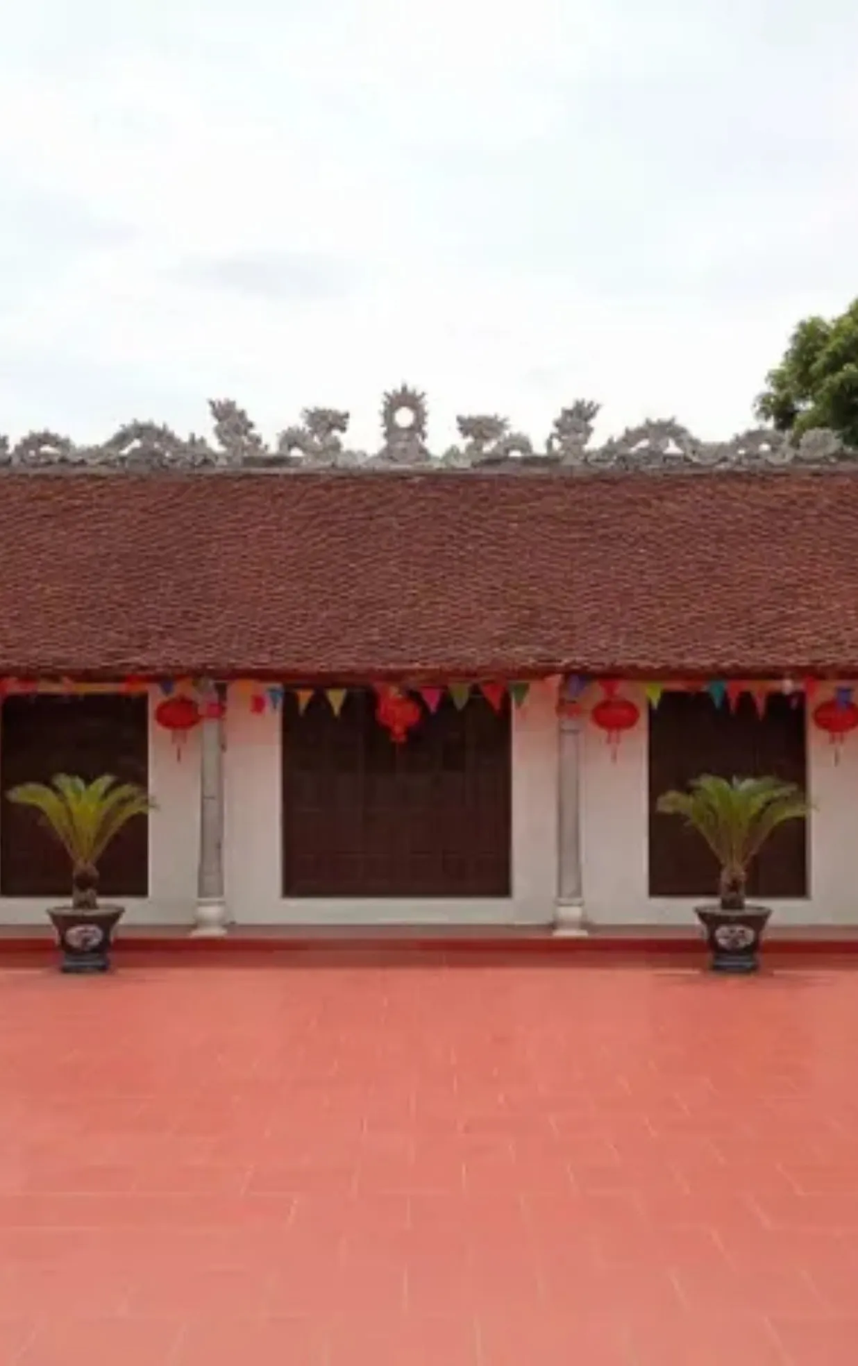 Đình Thanh Lợi