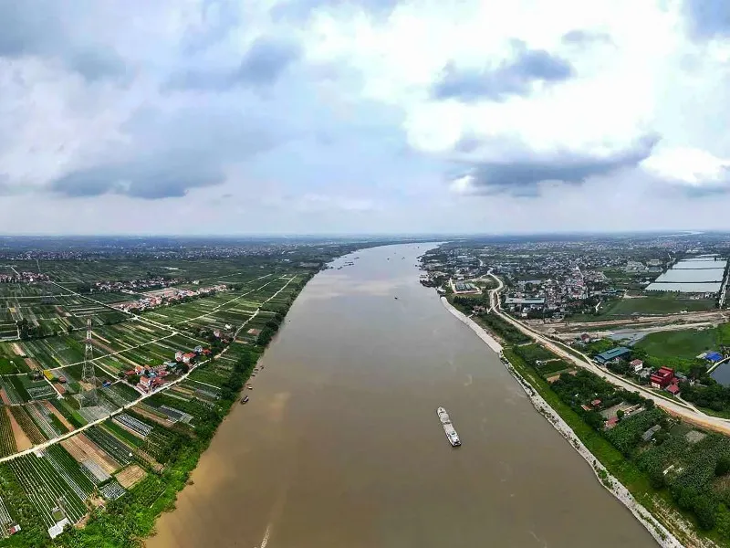 Tổng quan