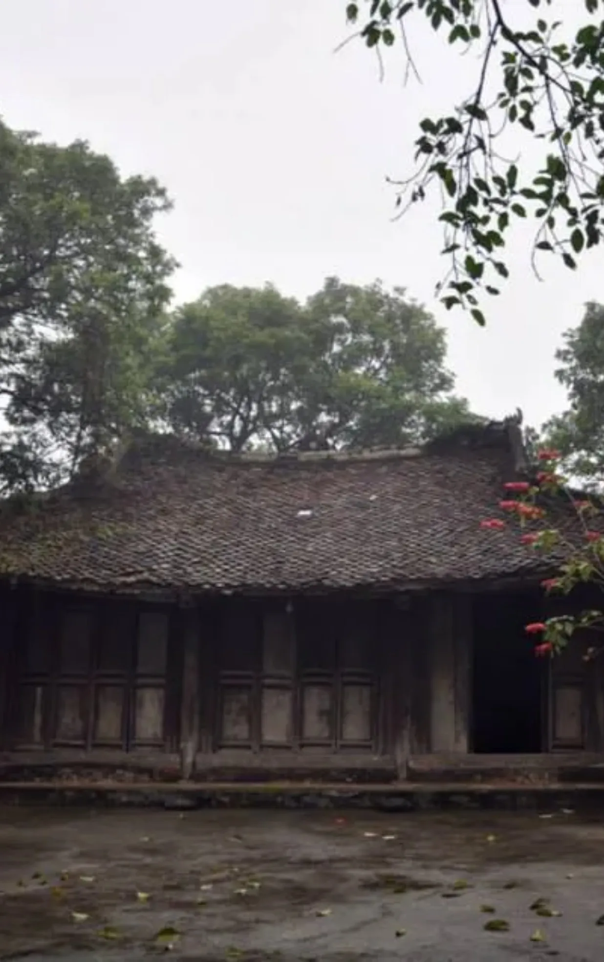 Miếu Nứa