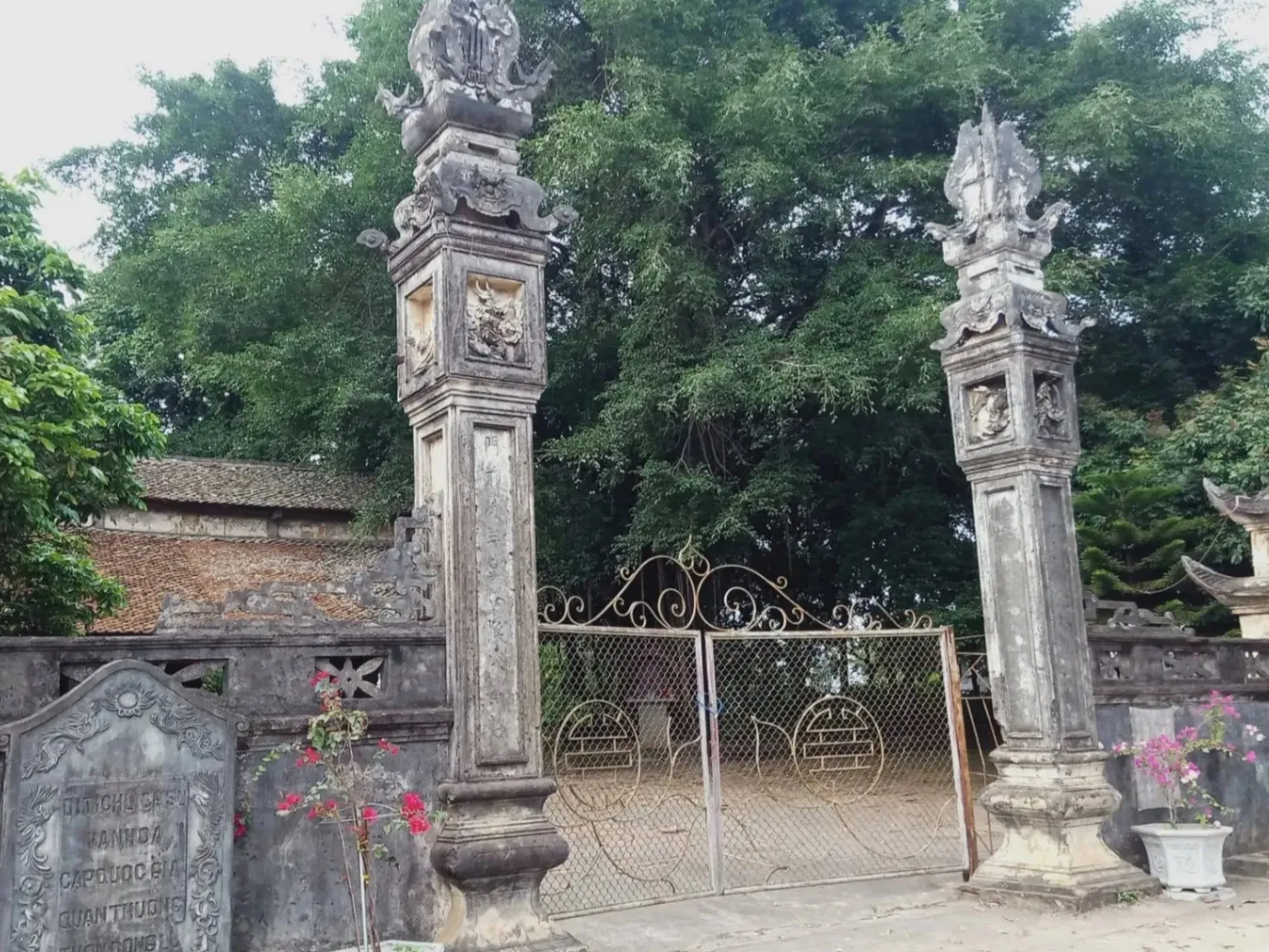 Giới thiệu