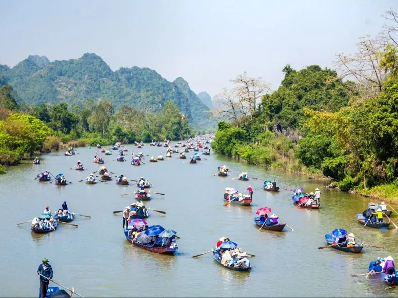 Tổng quan